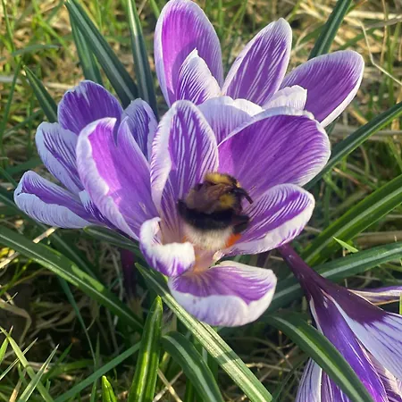 Meagill Corner Farm, Barn With Hot Tub