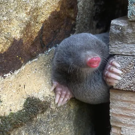 펜션 Meagill Corner Farm, Barn With Hot Tub Fewston