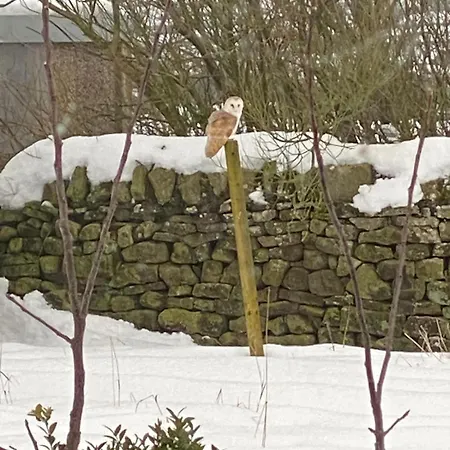 펜션 Meagill Corner Farm, Barn With Hot Tub