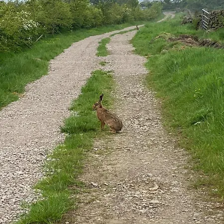 Meagill Corner Farm, Barn With Hot Tub Fewston